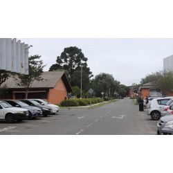 Saiba o horário de funcionamento das repartições públicas de Campo Largo no feriado do Dia do Trabalhador